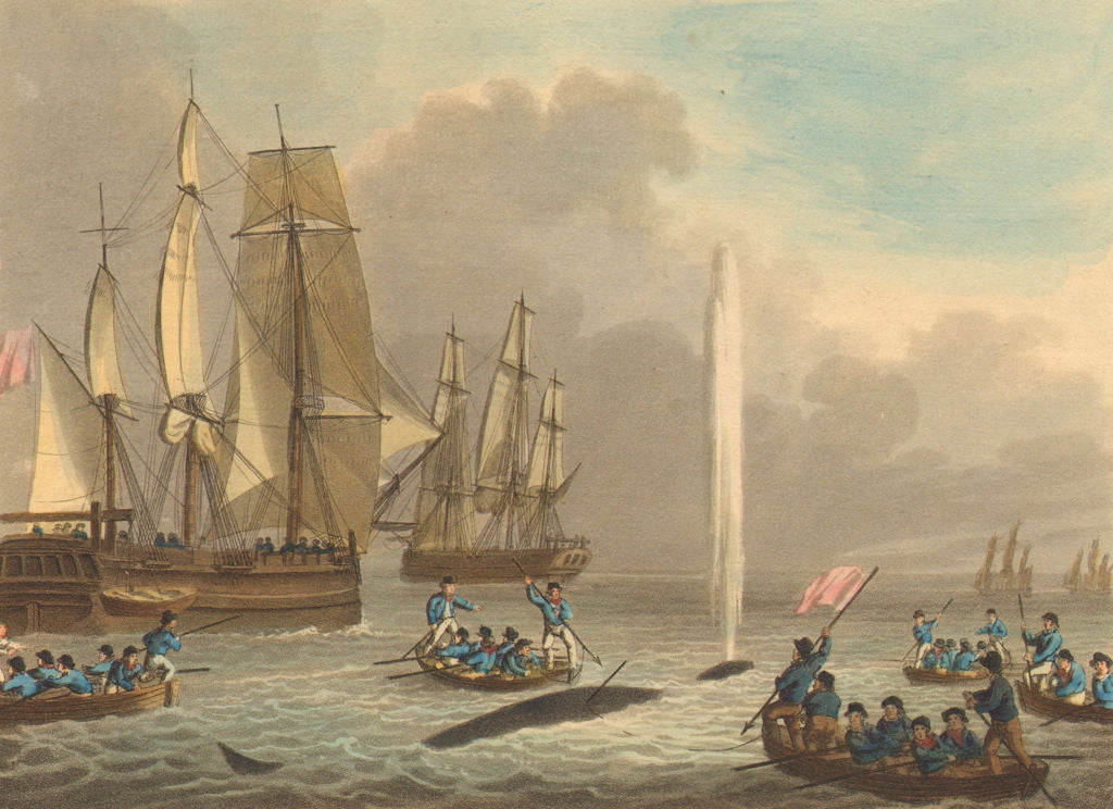 WHALING 2.Boat approaching whale nearly exhausted(Field Sports-Edward Orme) 1814